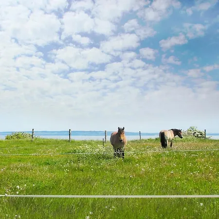 Schoene 2-raum-ferienwohnung Mit Terrasse - Haus Ostseeblick 1 Steuerbord *
